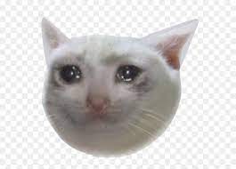 Hd Cryingcat 181 Kb Crying Cat Meme Png Transparent Png Vhv With tenor, maker of gif keyboard, add popular spiderman crying animated gifs to your conversations.