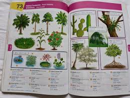 We did not find results for: Malay Chinese English Translation Book Hobbies Toys Books Magazines Assessment Books On Carousell