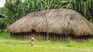 Berikut adalah beberapa gambar rumah honai yang menjadi tempat tinggal para suku dani: Mengenal Honai Rumah Adat Papua Rumah Com