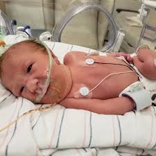 Fundraiser for Michael Panneton by Rob And Jami Carson : Help Max with his  medical needs