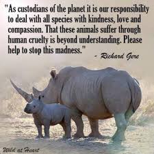 Animal Rights We Are Running Out Of Time Animals Weird Animals Animal Quotes