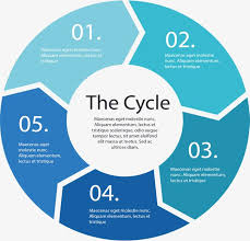 Cycle Flow Chart Vector Material Flattened Circle Png And