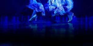 Soulful seduction partner dance event .2