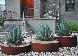 Sharkskin Agave Modern Garden Landscaping Hardscape Design Modern Landscaping