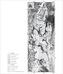 Image result for Oreophyton