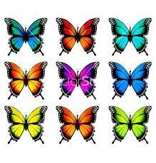 Collection Of Colorful Butterflies Flying In Vector Mariposas Para Imprimir Como Dibujar Mariposas Flores Para Imprimir