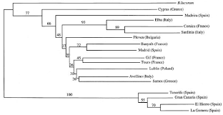 Hierro tv series 2019 the movie database tmdb from www.themoviedb.org. Population Genetic Structure And Colonization History Of Bombus Terrestris S L Hymenoptera Apidae From The Canary Islands And Madeira Heredity