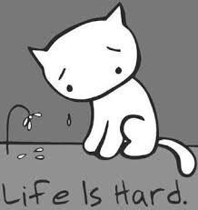 Black And White Cat Cute Illustration Kitty Tuval Resimleri Kedi Resim