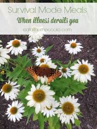 20 Living With Terminal Illness Ideas Terminal Illness Palliative Care End Of Life