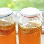 Kombucha Class