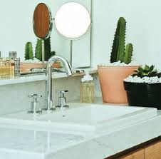 Cactos 84 Tipos E Ideias Para Decoracao De Sua Casa Plantas No Banheiro Plantas Para Banheiros Pequenos Banheiro
