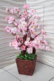 Kegiatan menikmati indahnya pemandangan bunga sakura dikenal dengan nama hanami, dan ini menjadi dilansir dari berbagai sumber, berikut lima kota di indonesia yang ditumbuhi bunga sakura. Gambar Bunga Sakura Meja