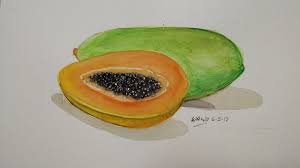 We did not find results for: Art 18 How To Painting Papaya Watercolor Ll Cara Melukis Buah Betik Youtube