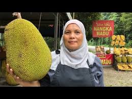 Cempedak lokal adalah jenis cempedak yang paling banyak dikenal masyarakat indonesia. Nangka Madu Honey Jackfruit At Kuala Lipis Trunk Road Youtube