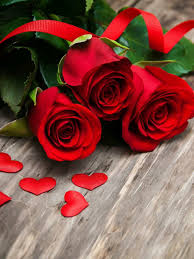 We have an extensive collection of amazing background images carefully chosen by our community. Cristal On Twitter Rose Flower Wallpaper Love Rose Flower Good Morning Flowers