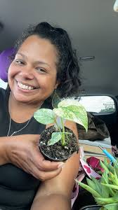 My happy Black Dragon Sansivieria with 14 pubs..She loves me❤️❤️