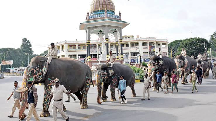 Eight elephants in first rehearsal of 2024 Dasara Jumboo Savari - Star of  Mysore