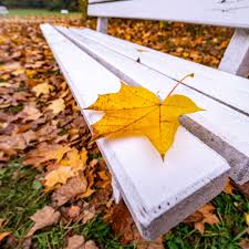 Official website of fc bayern munich fc bayern. Wetter Phanomen Blutregen Uber Deutschland Immense Auswirkungen Auf Temperaturen Diese Woche Welt