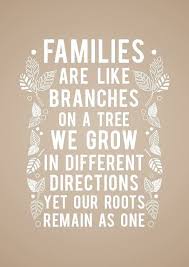 Pin By Melinda Williamson On Mental Help And Health We Care Family Quotes Photo Book Quotes Cousin Quotes