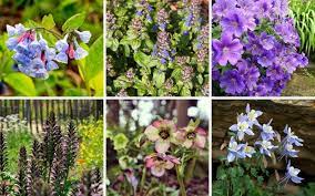 Maybe you would like to learn more about one of these? 12 Perennials That Grow Well In Missouri Garden Lovers Club