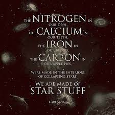 We Are Made Of Stars Life Quotes Quotes Quote Space Stars Life Quote Interesting Science Quotes Carl Sagan Quote Carl Sagan