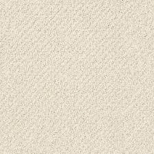 It is the true neutral to set the tone for 2016. Lifeproof Dublin Color Alabaster Loop 12 Ft Carpet Hdf0099172 The Home Depot