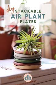 Dedicate a full wall to display air plants and see how different it'll look. Stackable Clay Plates To Display Air Plants