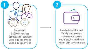 We did not find results for: True Family Embedded Deductibles Types Of Deductibles Bcbs Wny