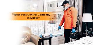 We've been here from the beginning. Best Pest Control Company In Dubai