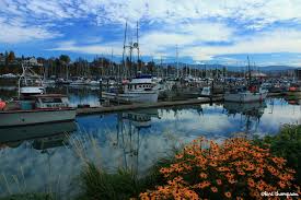 This includes 16 new vessels and 20 used boats, available from both individual owners selling their own boats and experienced dealers who can often offer various boat warranty packages along with boat loans and financing options. Pin By Lori Palmer Thompson On Photos By Lori Thompson Home Bellingham Washington Gorgeous Scenery Beautiful Places