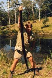 Red Bellied Black Snake Australia Downunder Downundertrip Australia Steve Irwin Irwin Family