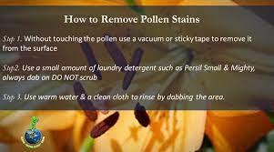 What methods are there to remove pollen from clothing? How To Remove Flower Pollen Stains From Carpets