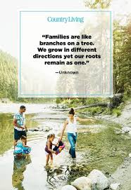 Feb 18, 2014 · dear quote investigator: 59 Best Family Quotes I Love My Family Quotes