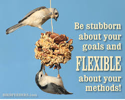 Birds Of The Same Feather Funny Quotes Inspirational Quote With The Help Of A Few Birds White Breasted Nuthatch Tufted Titmouse Humming Bird Feeders Wild Birds Nature Quotes