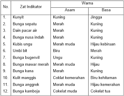 Zat yang akan digunakan sebagai indikator asam basa haruslah memiliki sifat yang stabil. Bahan Bahan Berikut Yang Dapat Kamu Gunakan Sebaga