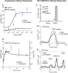 Hai… kali ini hel buat cemilan super gampang namanya ketan nangka, dimakan dengan vla santan enak banget. Roles Of Phosphodiesterases In The Regulation Of The Cardiac Cyclic Nucleotide Cross Talk Signaling Network Sciencedirect