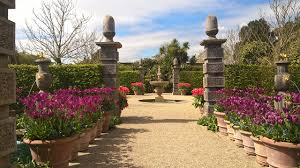 Arundel castle is located in the town of arundel in west essex, england. Image England Fountains Arundel Castle Gardens Tulips Nature Shrubs
