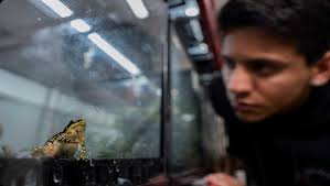 AArk Annual Report 2023