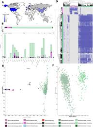 La ryan maximum cu două ore înainte de zbor; A Comprehensive Analysis Of The Global Human Gut Archaeome From A Thousand Genome Catalogue Biorxiv