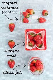 Maybe you would like to learn more about one of these? How To Make Strawberries Last Longer Food Folks And Fun