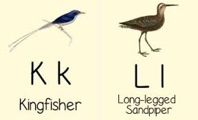 Birds That Start With A Vowel Abc Bird Flashcard Bundle Cursive And Print Manuscript Vintage Bird Images Cursive Uppercase Lowercase Letters Lower Case Letters