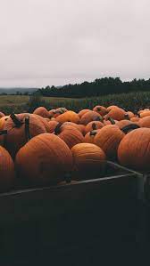 Cozy fall desktop wallpaper tumblr. Autumn Wallpaper On Tumblr