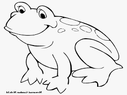 Download now 50 gambar mewarnai yang seru dan menarik untuk anak. Unduh 95 Gambar Hewan Untuk Anak Paud Terbaik Gratis