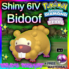 Shiny BIDOOF 6IV / Pokemon Brilliant Diamond and Shining Pearl - Etsy