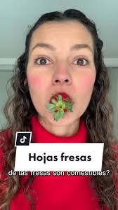 Se Come Las Hojas De Las Fresas