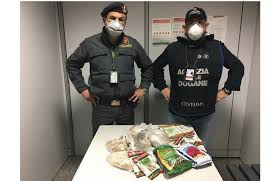 Address, phone, fax, email, website, opening hours. I Funzionari Dell Agenzia Delle Dogane E Monopoli In Servizio Ad Alghero Hanno Sequestrato 21 Buste Di Semi Vegetali Sardegna