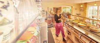 You'll also need to have a solid marketing plan in place if you want to stay relevant and get ahead of your competition. Undercounter Warewasher For Cafes Winterhalter