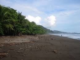Dominical costa rica is a friendly surf town on the central pacific coastline, 28 miles south of quepos. Dominical Costa Rica Where The Jungle Rises From The Sea