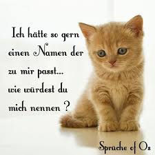 Sprüche Of Os Seelenmomente Facebook