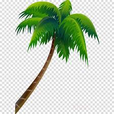 Try to search more transparent images related to coconut tree png |. Coconut Tree Cartoon Clipart Illustration Plant Tree Transparent Clip Art